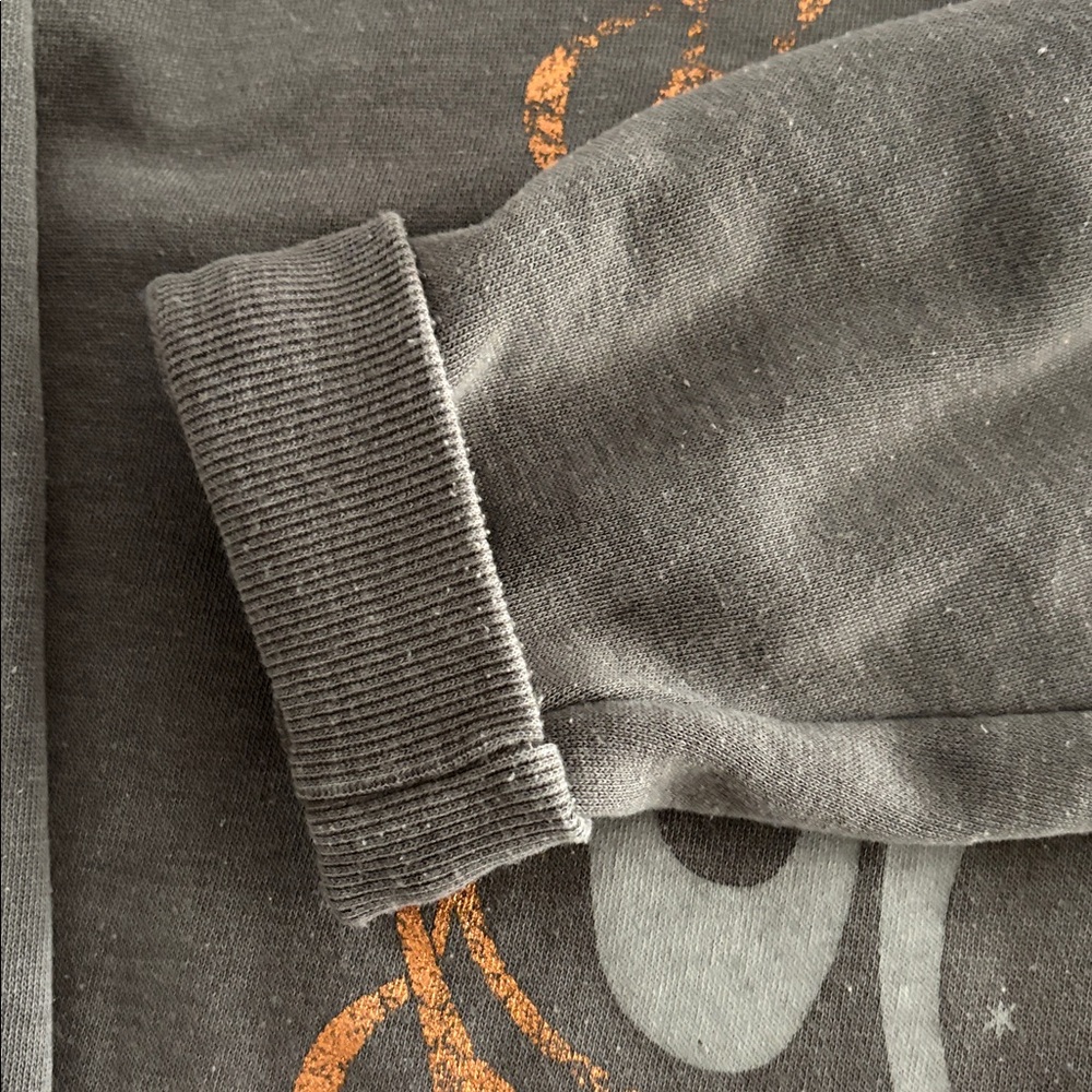 Gray Janis Joplin Graphic sweatshirt - Picture 8 of 8